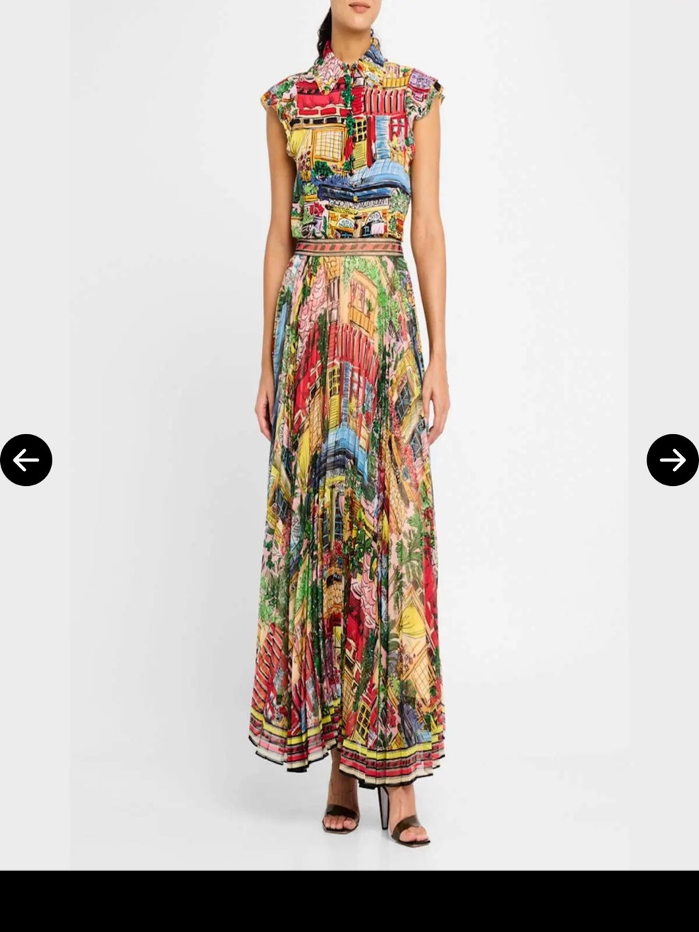 Alice + Olivia Multicolor Scenic Print Maxi Dress